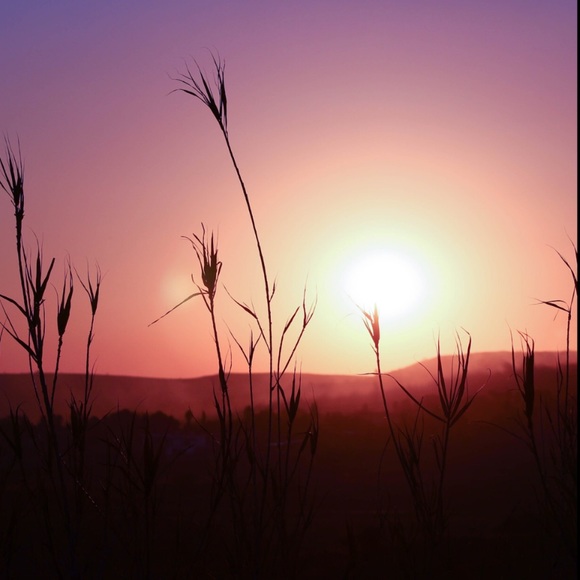 ๐บ๐ฟFOLLOW GAME!๐ฟ๐บ - Picture 5 of 6